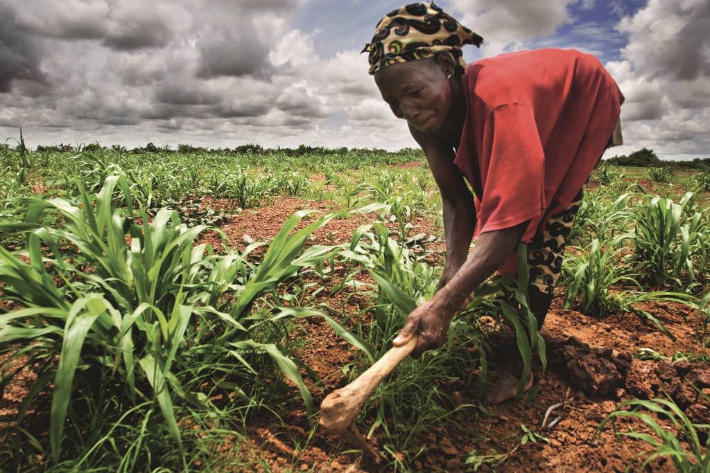 Wefarm e l'era digitale miglioreranno l'agricoltura anche in Africa