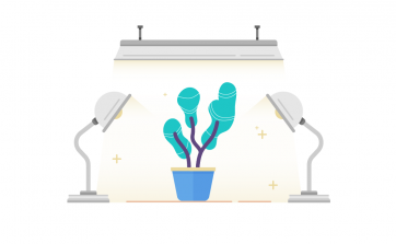 growth hacking e web marketing