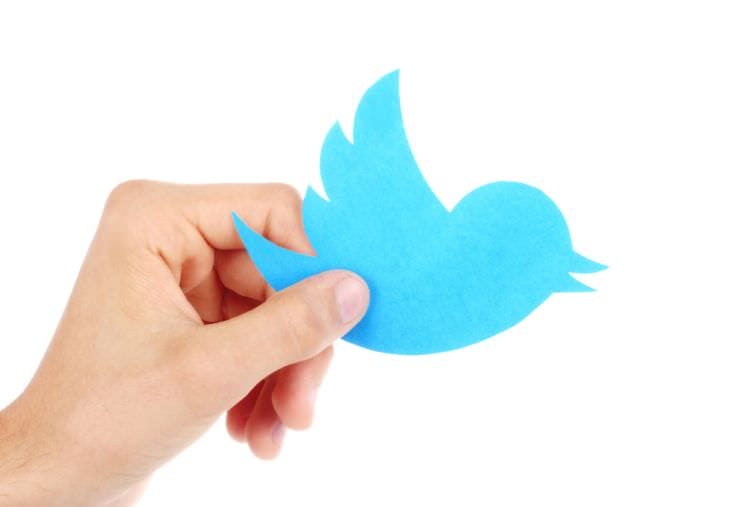 Icona di Twitter