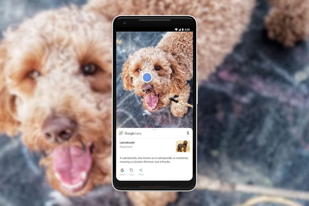 Google integra la funzione Lens nella ricerca delle immagini di Chrome