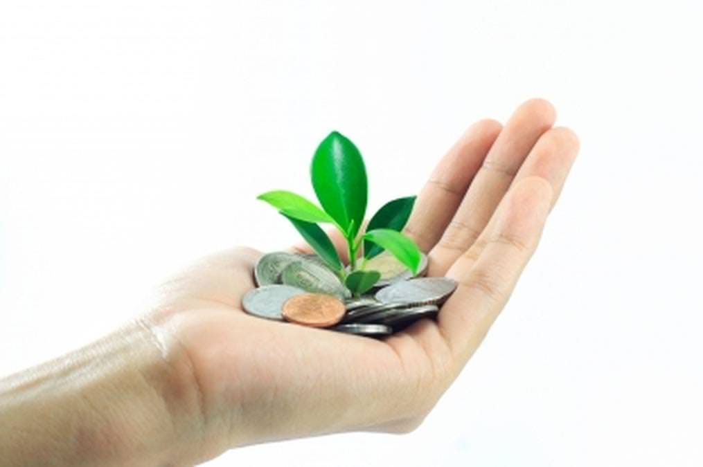 Seed e i corsi di formazione Storie Instagram: come funzionano?