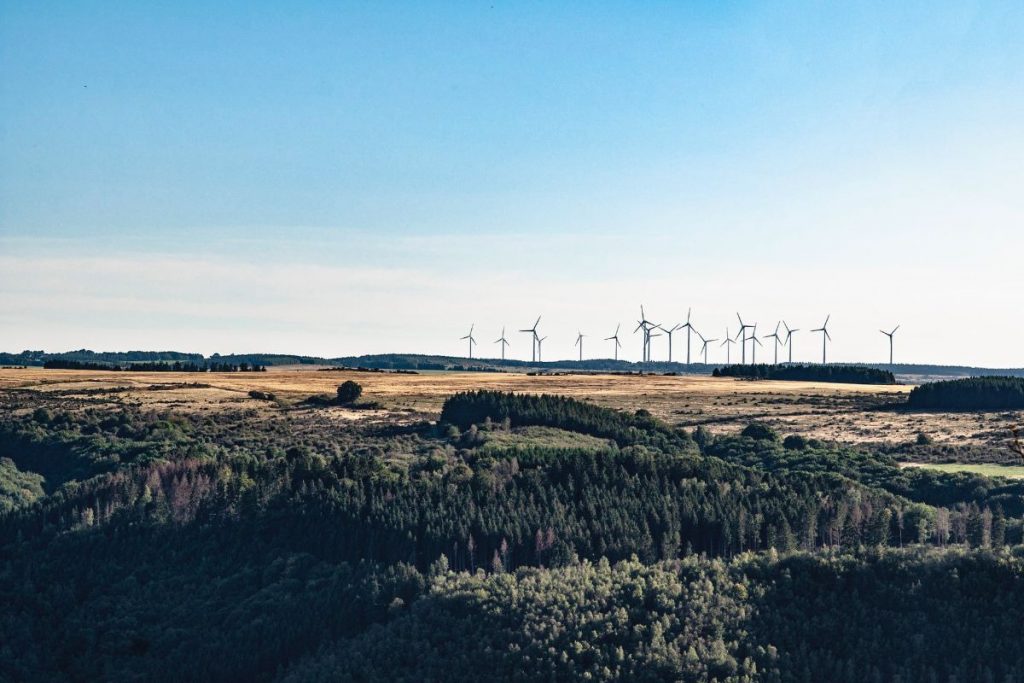 green jobs-italia-header