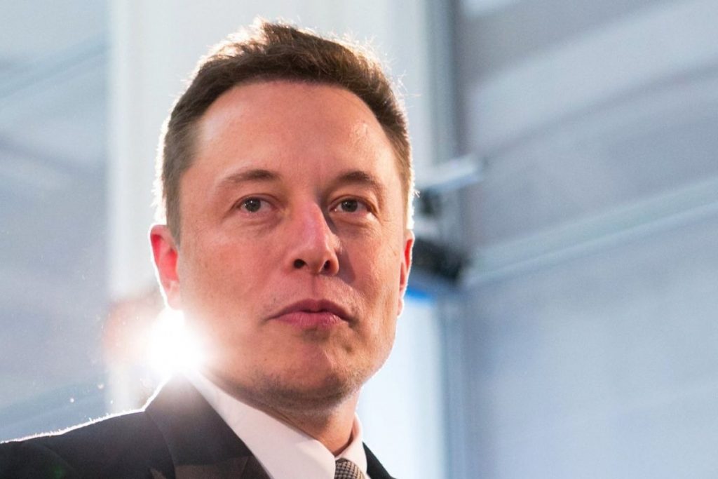 Elon Musk analizza il cervello umano