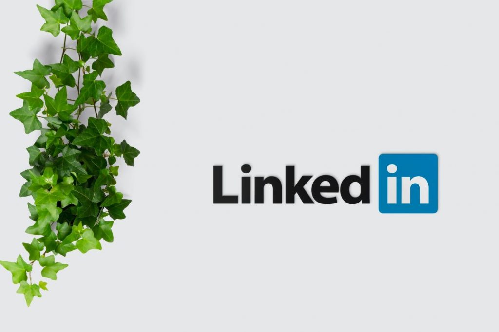 LinkedIn Newsletter per le aziende