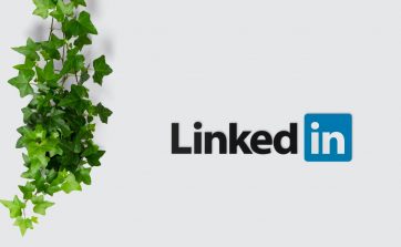 LinkedIn Newsletter per le aziende