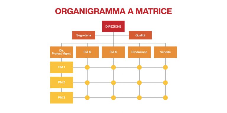A Quale Categoria Appartengono Gli Organigrammi Eipass
