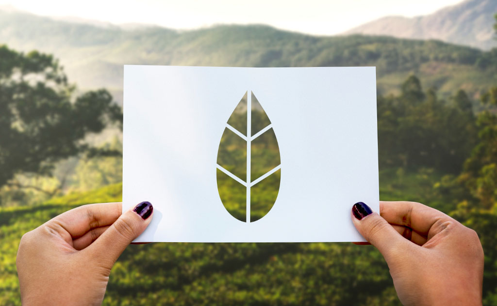come nasce il greenwashing